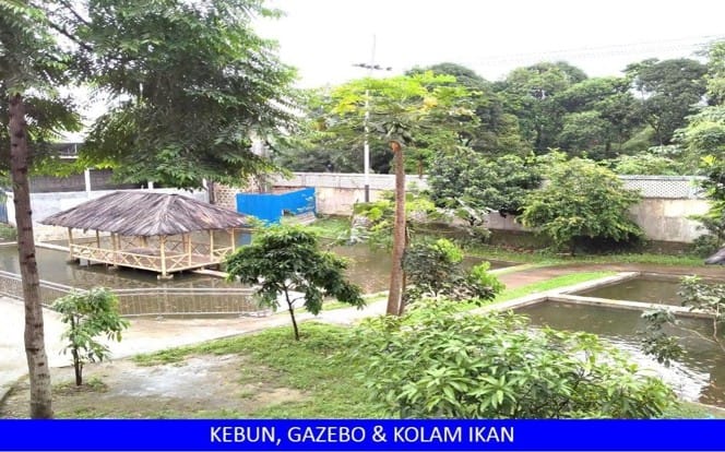 Kebun Gazebo dan Kolam Ikan