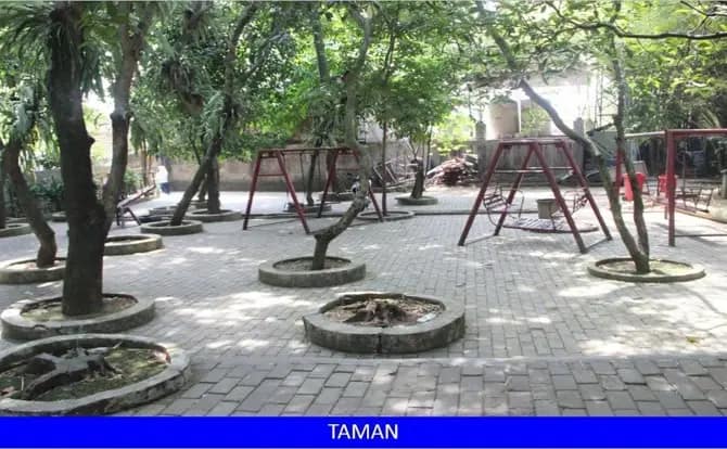 Taman
